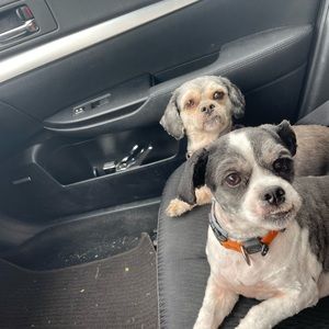 Meet your Posher, Allen scott